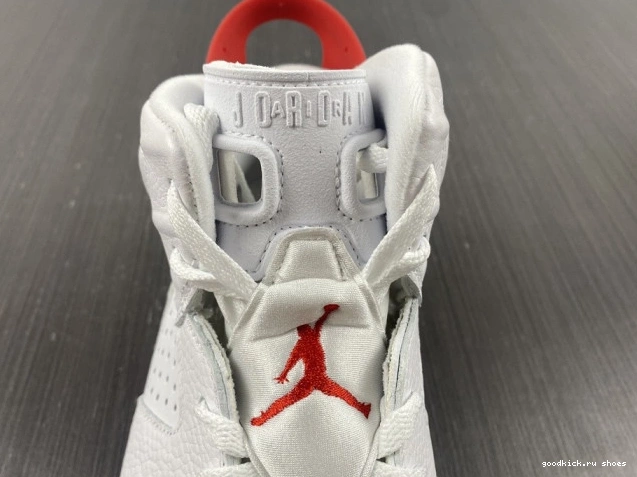 Rep Retro 6 Hare Jordan CT8529-162 0629
